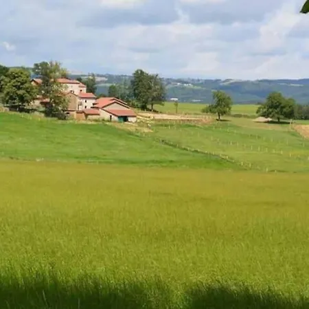 Domaine Du Peyron- La Maison De Famille- Sauna بيت للعطل Monistrol-sur-Loire